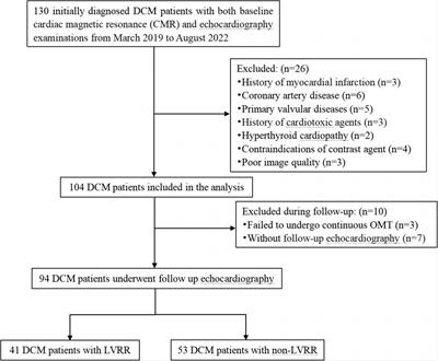 The predictive value of coronary microvascular dysfunction for left ventricular reverse remodelling in dilated cardiomyopathy